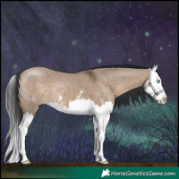 Horse Color:Brown Dun Sabino Splash 