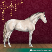 Horse Color:Smoky Creme Sabino