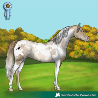 Horse Color:White Spotted Buckskin Snowdrop Varnish Rabicano 