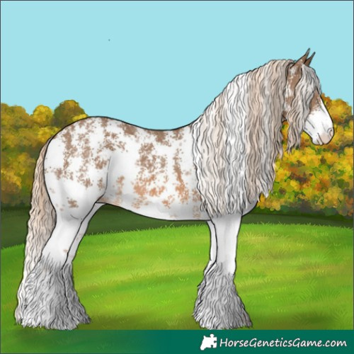 Horse Color:Chocolate Palomino Sabino 