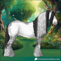 Horse Color:Blue Ice Roan Frame 