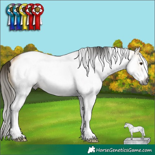 Horse Color:Gray White Spotted Buckskin Dun Rabicano 