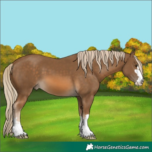 Horse Color:Chocolate Palomino 