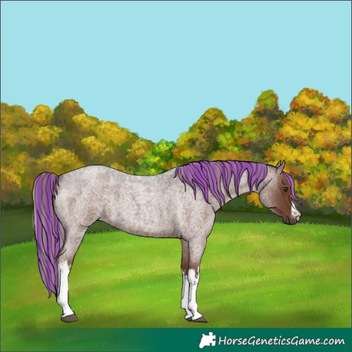 Horse Color:Painted White Spotted Liver Red Roan Mushroom 