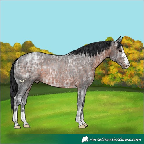 Horse Color:Brown Ice 