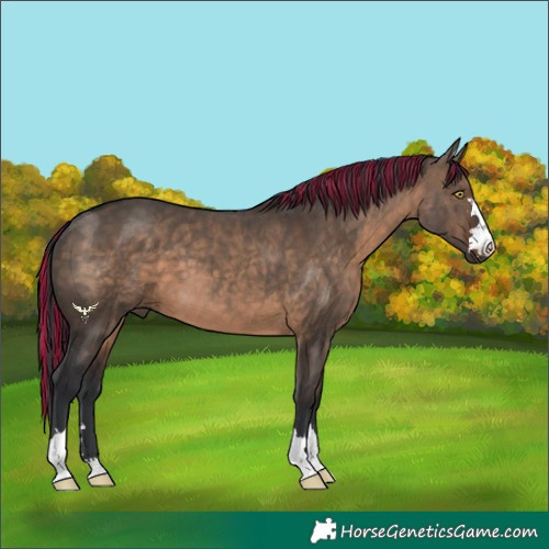 Horse Color:Painted Brown Dun 