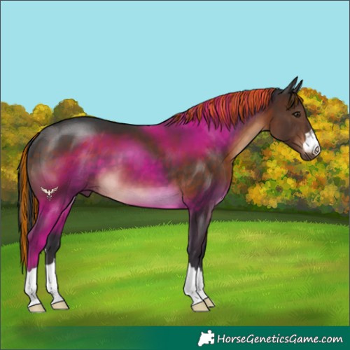 Horse Color:Painted Brown 