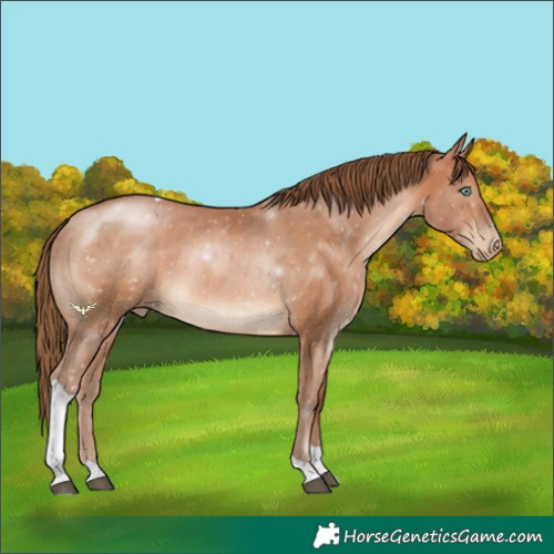 Horse Color:Brown Pearl Tobiano 