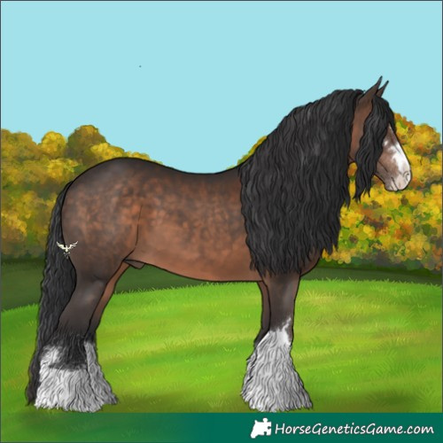 Horse Color:Brown 