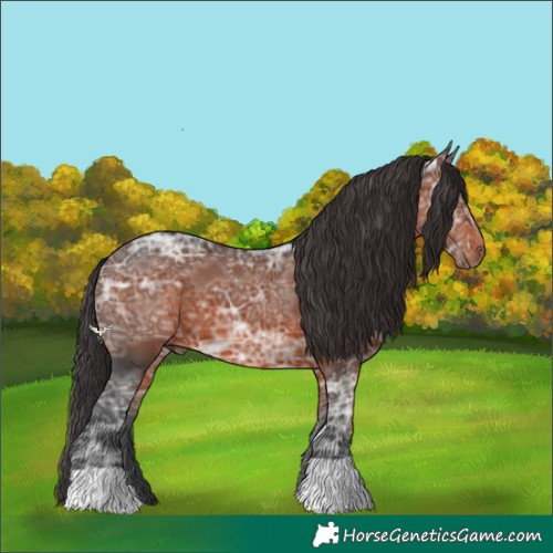 Horse Color:Brown Ice