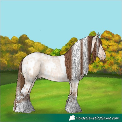 Horse Color:White Spotted Brown Ice Pearl Dun Rabicano 