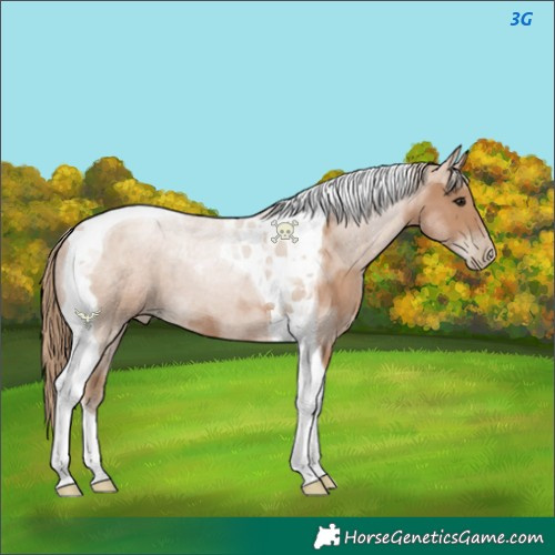 Horse Color:Black Pearl Tobiano 