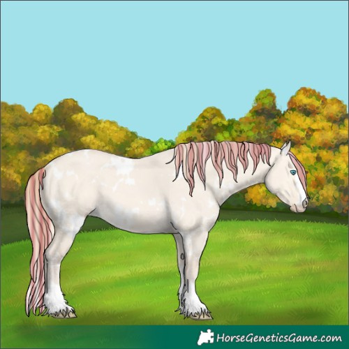 Horse Color:Painted White Spotted Perlino Dun 