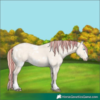 Horse Color:Painted White Spotted Perlino Dun 