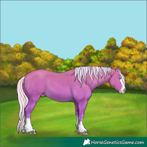 Horse Color:Silver Perlino 