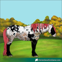 Horse Color:Painted White Spotted Silver Bay Ice Mushroom Sabino Splash Appaloosa 