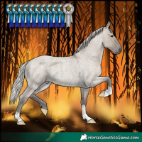 Horse Color:Silver Smoky Grullo Roan 