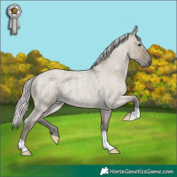 Horse Color:Silver Smoky Grullo Roan