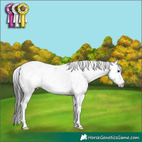 Horse Color:Black Sabino 