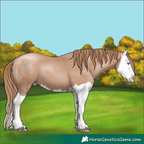 Horse Color:Black Pearl Splash 