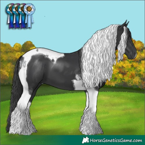 Horse Color:Black Tobiano 