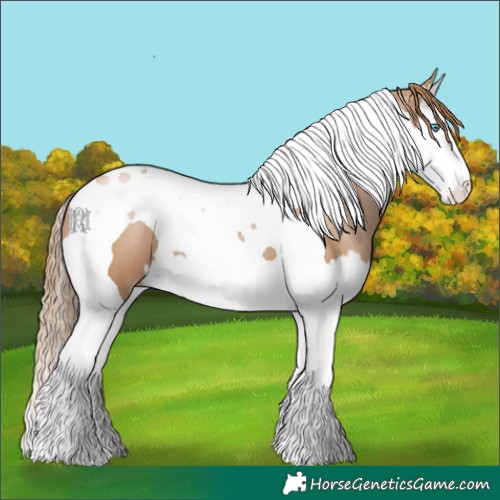 Horse Color:Black Pearl Splash Tobiano