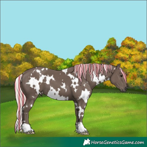 Horse Color:Painted White Spotted Silver Black 