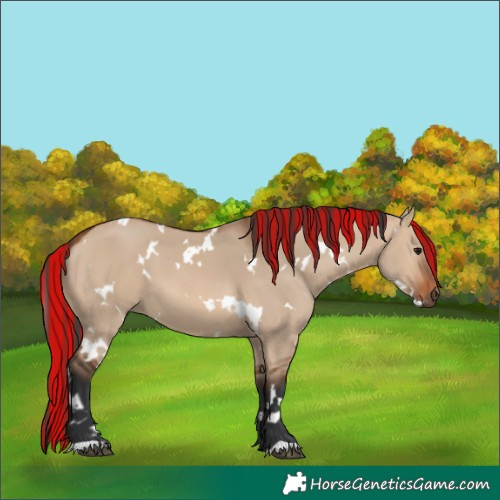 Horse Color:Painted White Spotted Bay Dun
