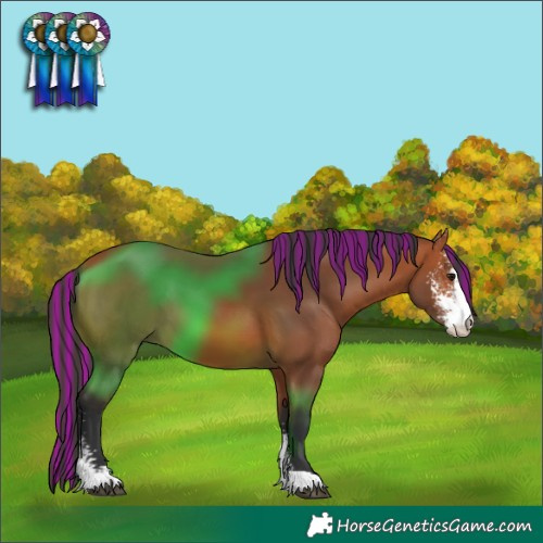 Horse Color:Painted Bay Sabino 