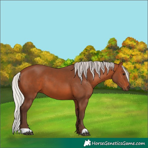 Horse Color:Silver Brown