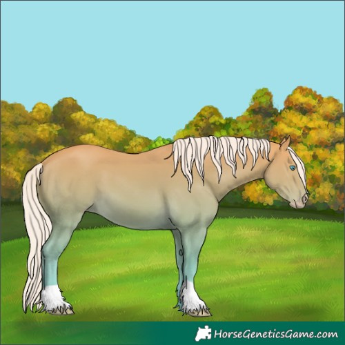 Horse Color:Silver Perlino 