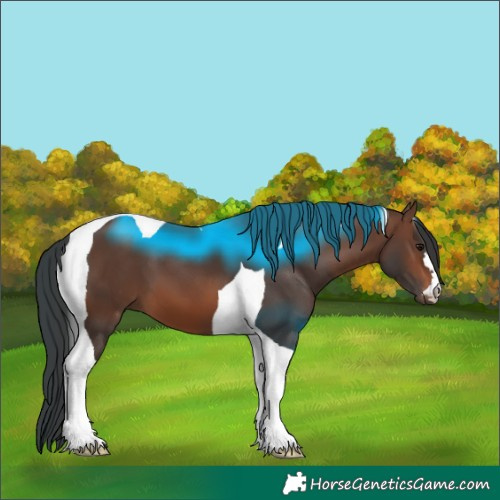 Horse Color:Brown Tobiano