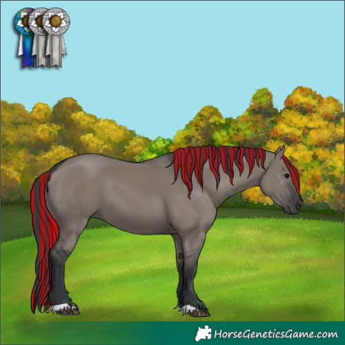 Horse Color:Painted Grullo 