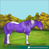 Horse Color:Watercolor Liver Chestnut Tobiano 