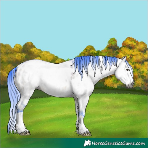 Horse Color:Gray Watercolor White Spotted Bay Dun Sabino Leopard 