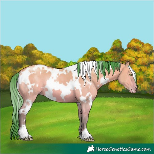 Horse Color:Watercolor White Spotted Amber Champagne Dun 