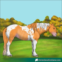 Horse Color:Watercolor Liver Chestnut Tobiano Varnish Rabicano 