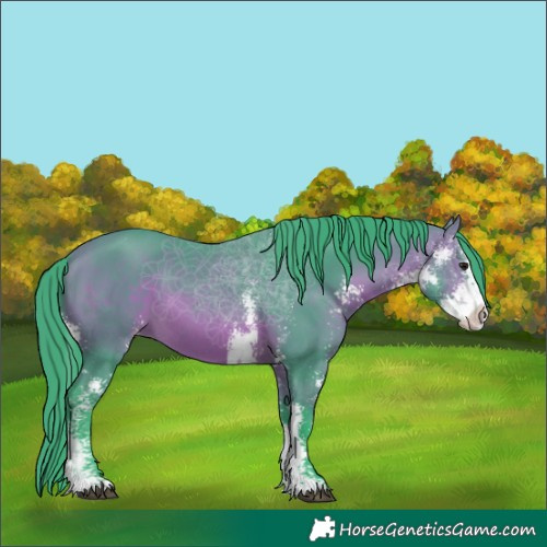 Horse Color:Watercolor Bay Sabino Appaloosa 