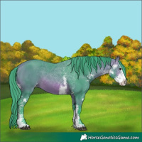 Horse Color:Watercolor Bay Sabino Varnish