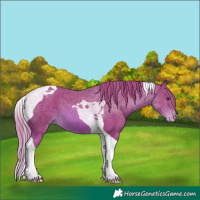 Horse Color:Watercolor Chestnut Tobiano Blanket 