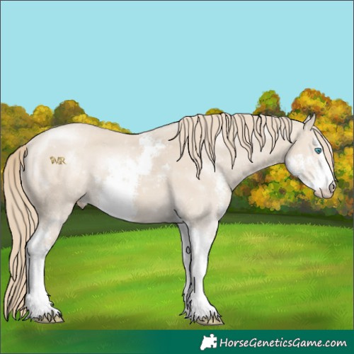 Horse Color:Smoky Creme Sabino 