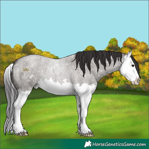 Horse Color:Smoky Grullo Roan Sabino Splash 