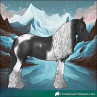 Horse Color:Black Tobiano 