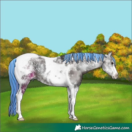 Horse Color:Platinum Painted Liver Red Onyx Ice Mushroom Tobiano 