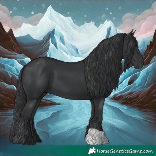 Horse Color:Black 