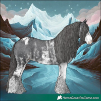 Horse Color:White Spotted Black Appaloosa