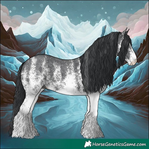 Horse Color:White Spotted Black