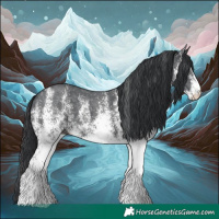 Horse Color:White Spotted Black 
