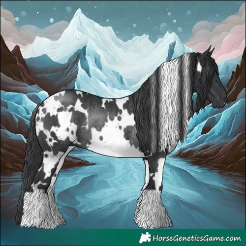 Horse Color:White Spotted Black Rabicano