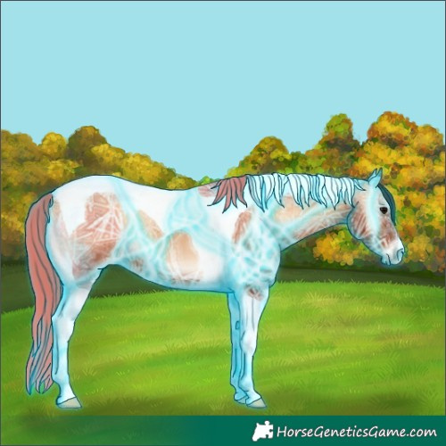 Horse Color:Thunderstruck Bay Ice Onyx Tobiano